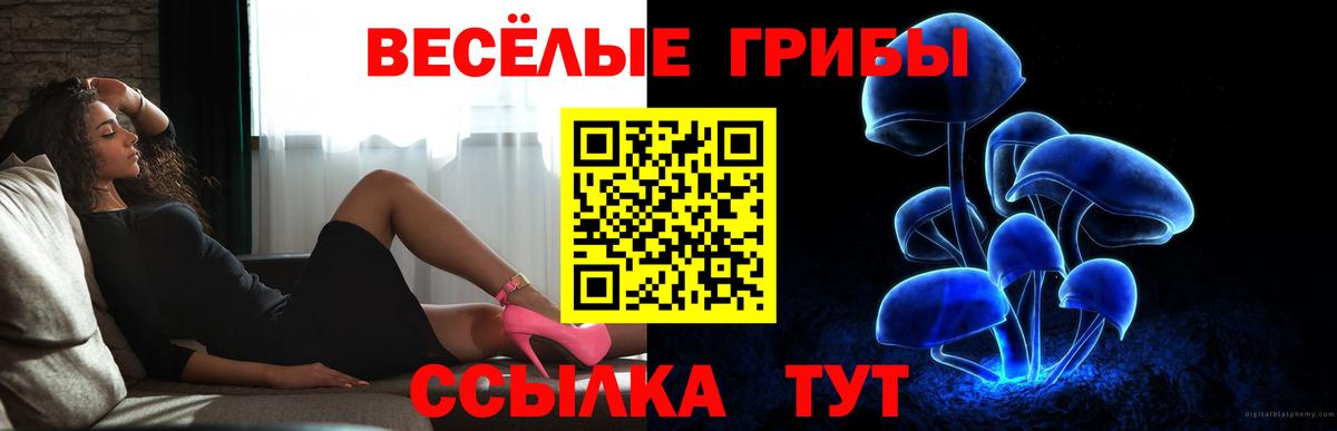 Когалым  Псилоцибиновые грибы Magic Shrooms  Вход с VPN  Псилоцибиновые грибы Psilocybine cubensis 